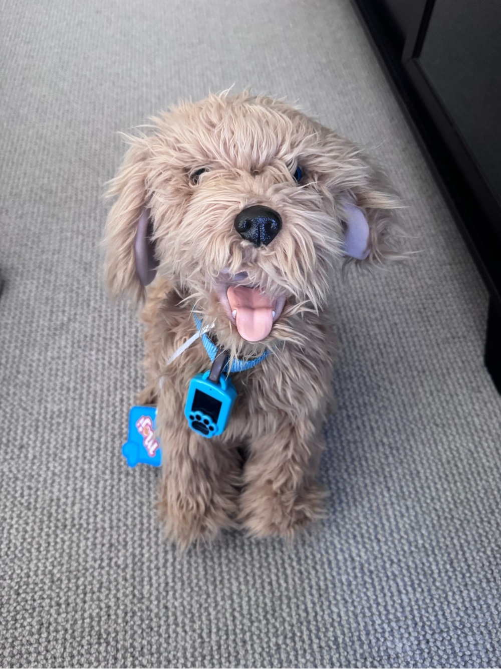 SkyRocket My Fuzzy Friend Moji interactive Labradoodle